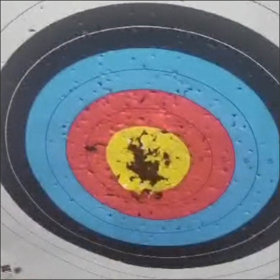 Archery Patch / Cover-Up Stickers (Self-Adhesive)