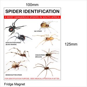Insect Fridge Magnet (Scorpion & Spider)