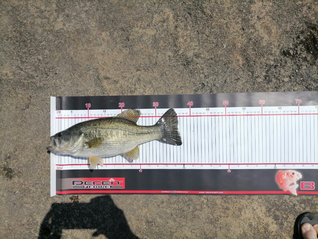 Fish Measurement Mat / Brag Mat