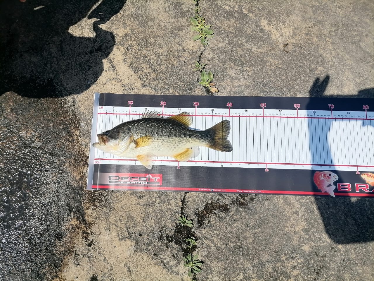 Fish Measurement Mat / Brag Mat