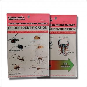 Insect Fridge Magnet (Scorpion & Spider)